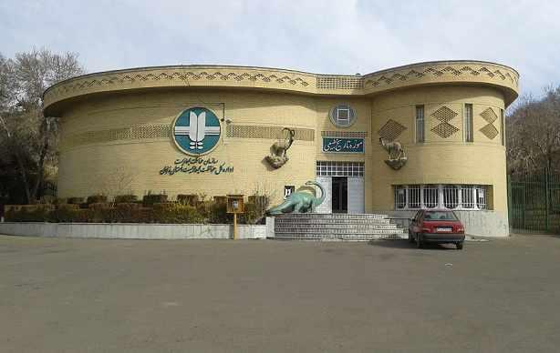 موزه تاریخ طبیعی زنجان، گشتی در حیات وحش استثنایی