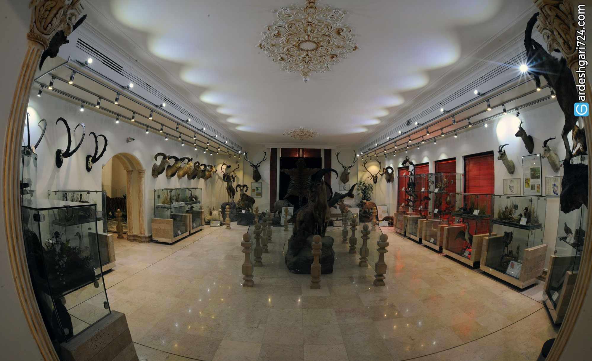 موزه تاریخ طبیعی دارآباد