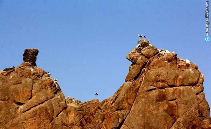 قلعه لک لک ها، شگفتی از طبیعت