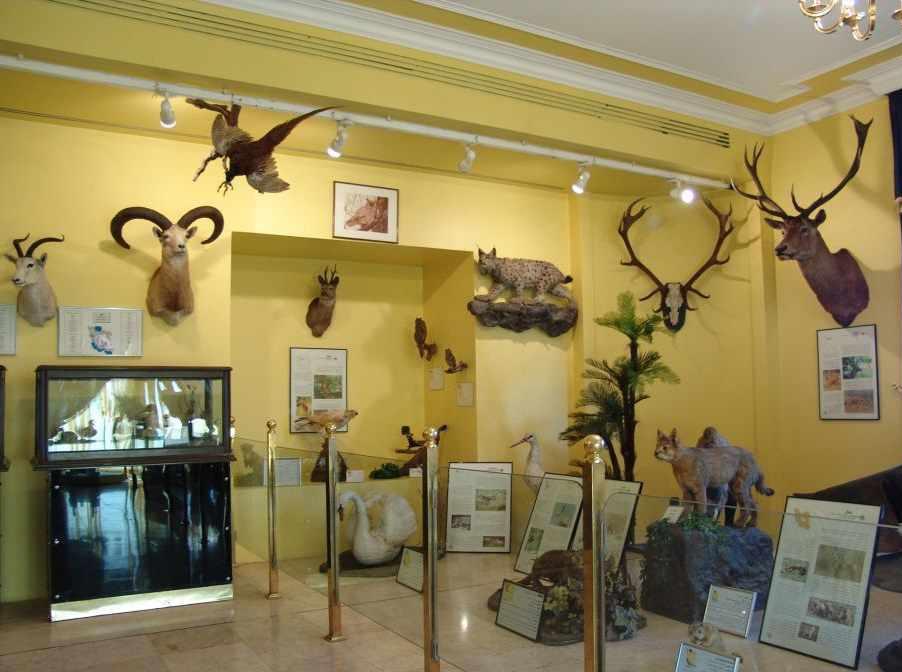 موزه تاریخ طبیعی دارآباد