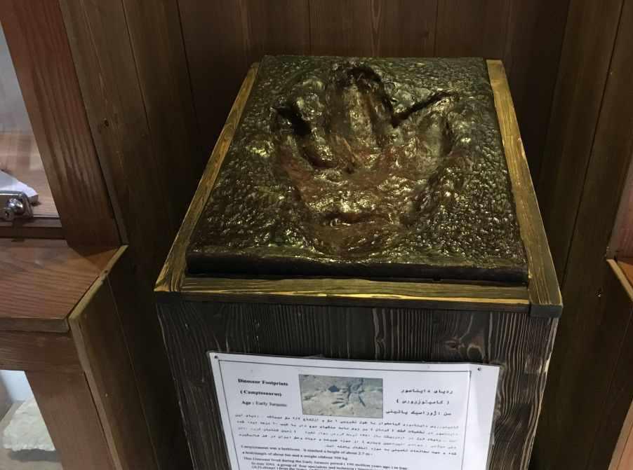 موزه تاریخ طبیعی دارآباد