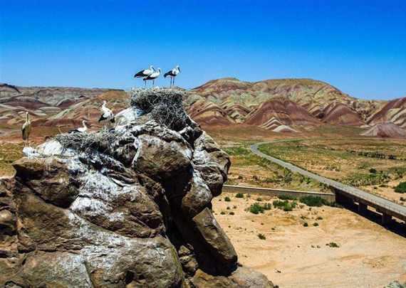 قلعه لک لک ها، شگفتی از طبیعت