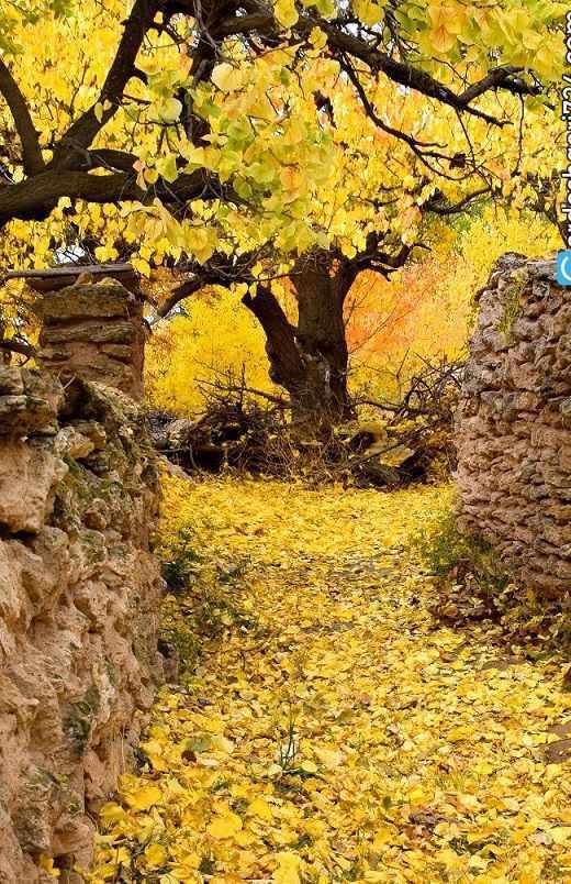 آبشار کالاش، باغ امینی
