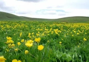 تفرجگاه ماهار زنوز، بهشتی خمارآلود