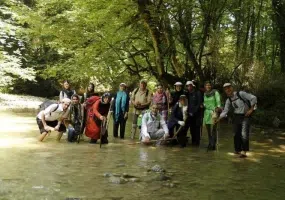 آبشار برگ جهان