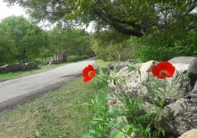 روستای الماس شبستر