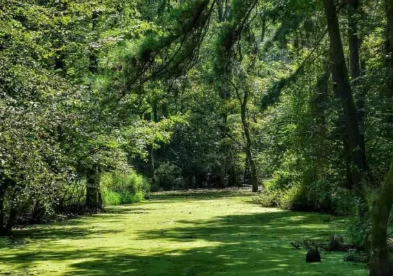 بندر کیاشهر