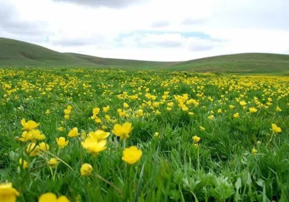 تفرجگاه ماهار زنوز، بهشتی خمارآلود