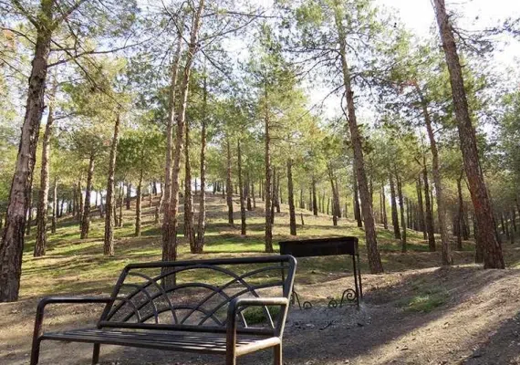 پارک جنگلی چیتگر، پارکی با امکانات متعدد