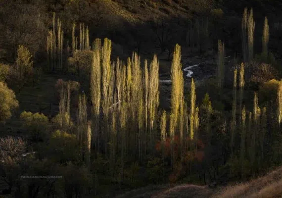 روستای جزینان