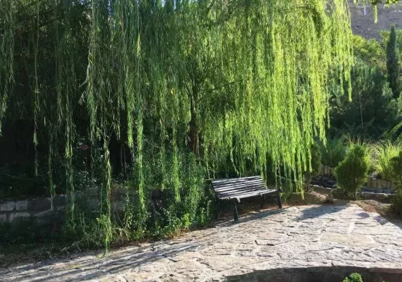 پارک آبشار تهران کجاست؟