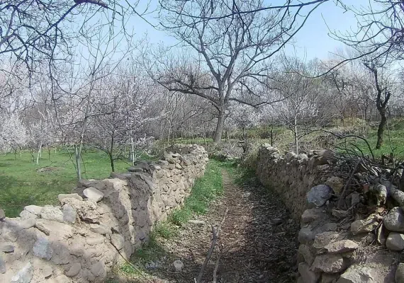 تفرجگاه ماهار زنوز، بهشتی خمارآلود