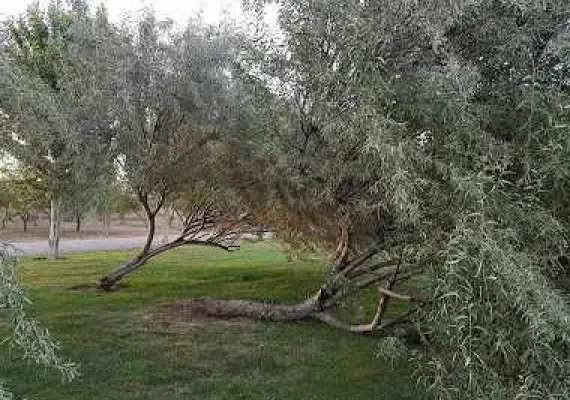 پارک جنگلی توسکا تهران