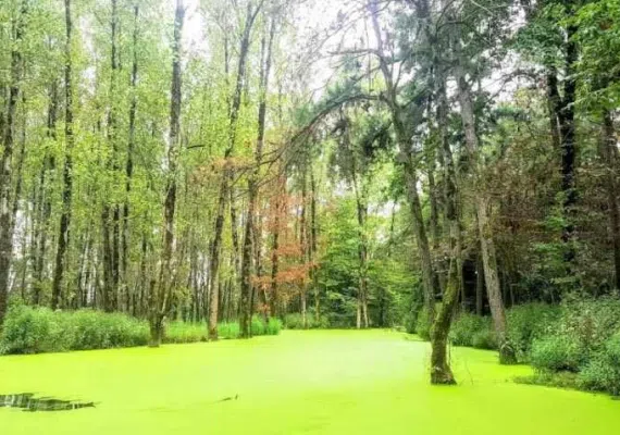 بندر کیاشهر