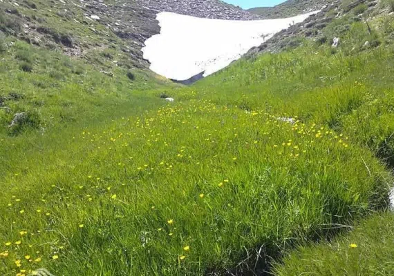 منطقه حفاظت شده انگوران