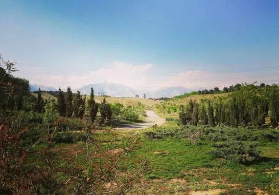 پارک جنگلی پردیسان، پارکی با طبیعتی جذاب