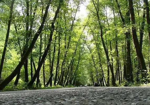 روستای صفرابسته آستانه اشرفیه گیلان