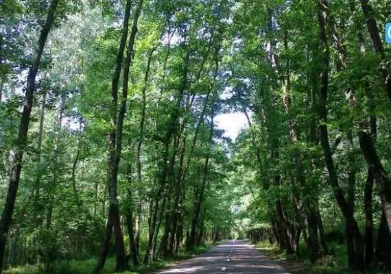روستای صفرابسته آستانه اشرفیه گیلان