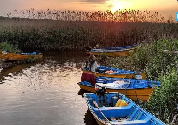 بندر کیاشهر