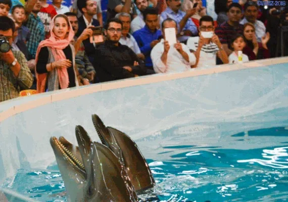 پارک باغلار باغی تبریز