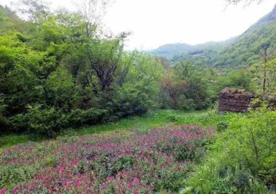روستای سیاهکشان