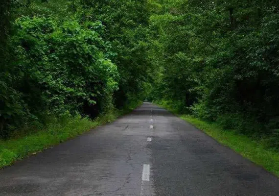 روستای صفرابسته آستانه اشرفیه گیلان