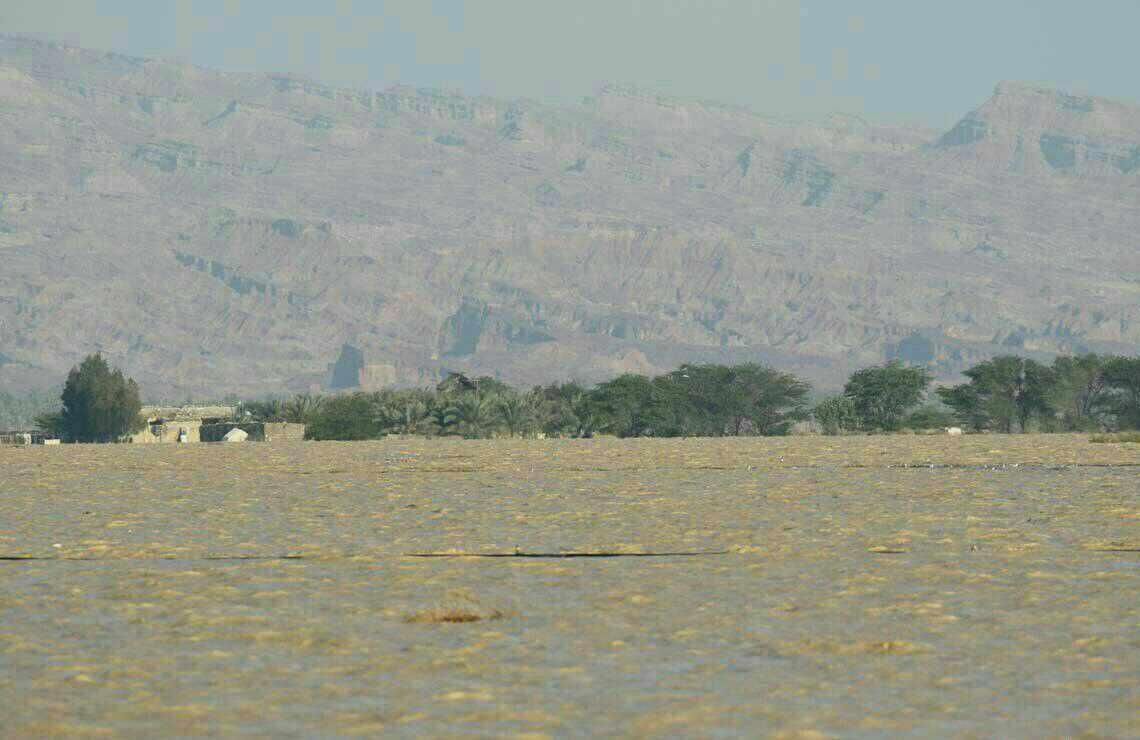 منطقه حفاظت شده مند