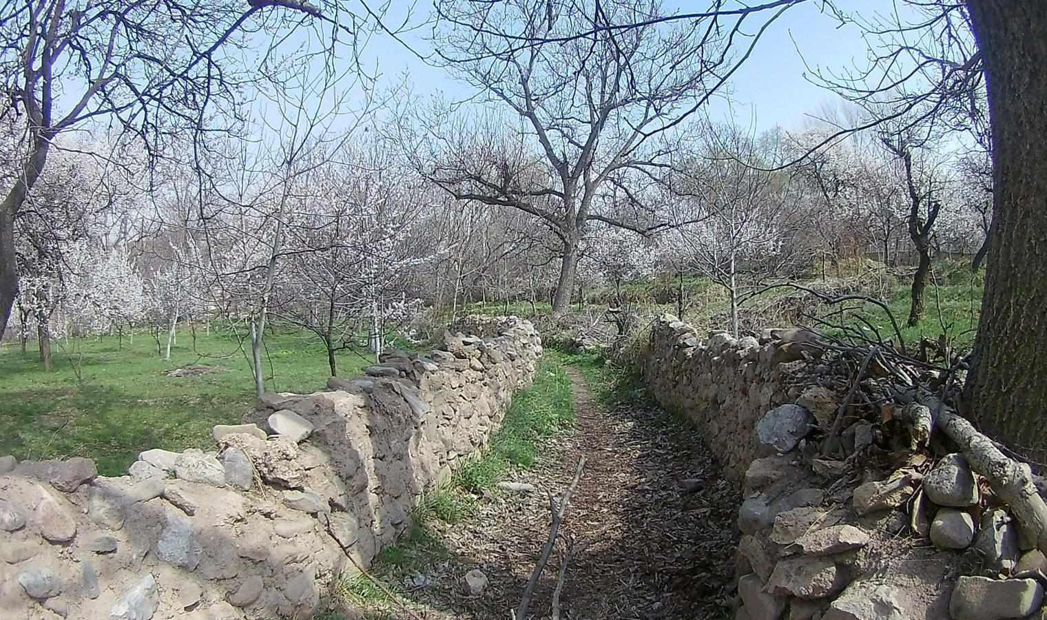 تفرجگاه ماهار زنوز، بهشتی خمارآلود