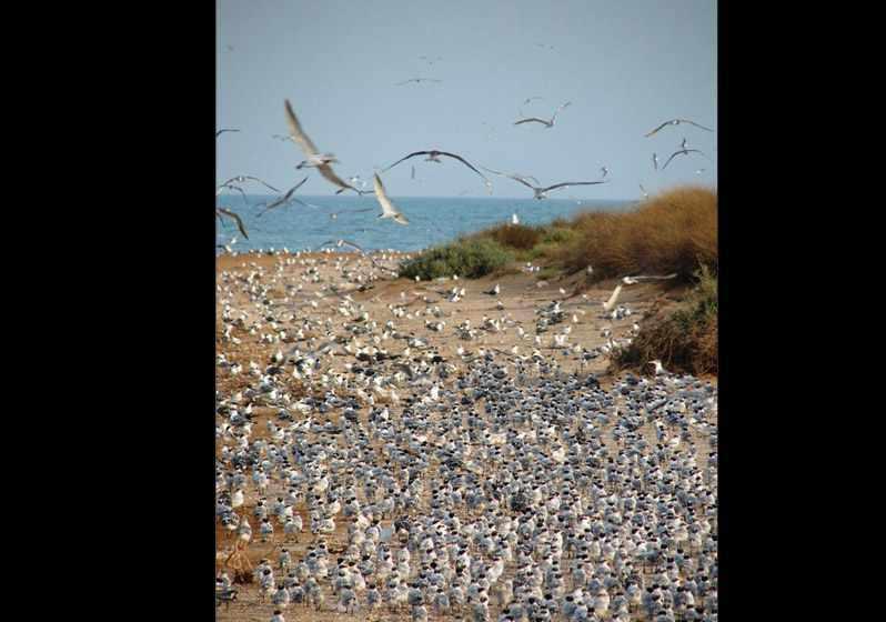 منطقه حفاظت شده مند