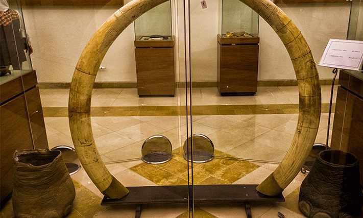 موزه برادران امیدوار، موزه ای با یادگاری های مختلف