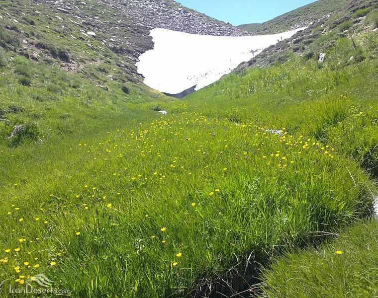 منطقه حفاظت شده انگوران