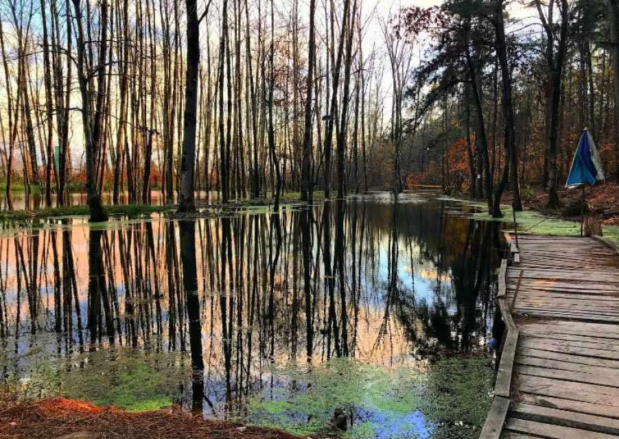 بندر کیاشهر