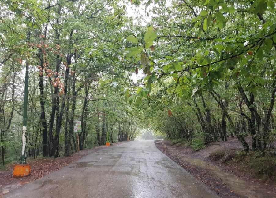 بندر کیاشهر