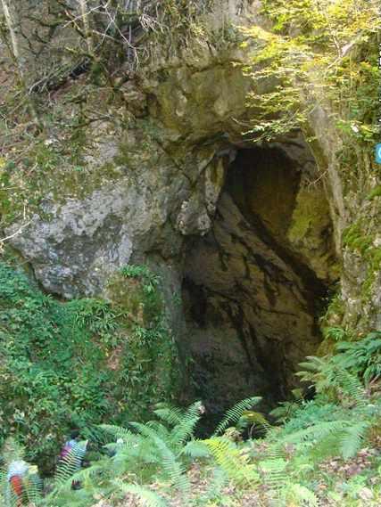 غار آویشوی، غار رودخانه ای