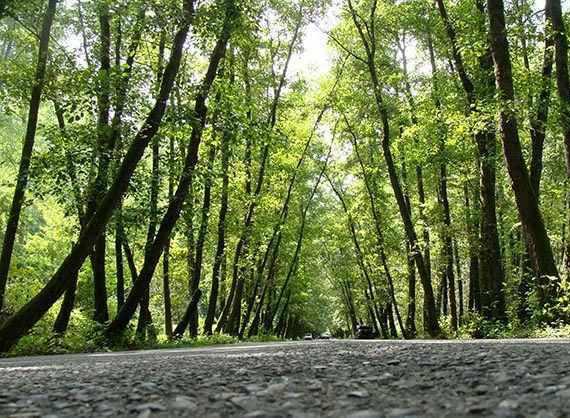 روستای صفرابسته آستانه اشرفیه گیلان