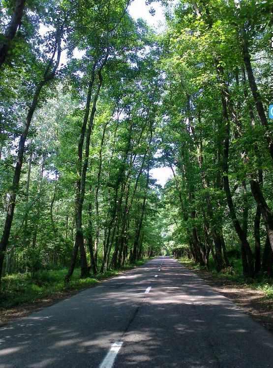 روستای صفرابسته آستانه اشرفیه گیلان