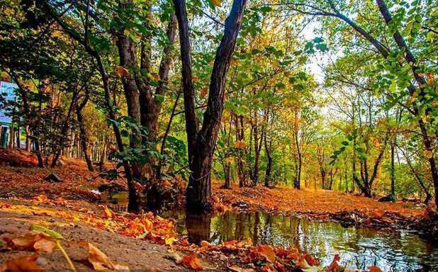 پارک جنگلی چیتگر، پارکی با امکانات متعدد