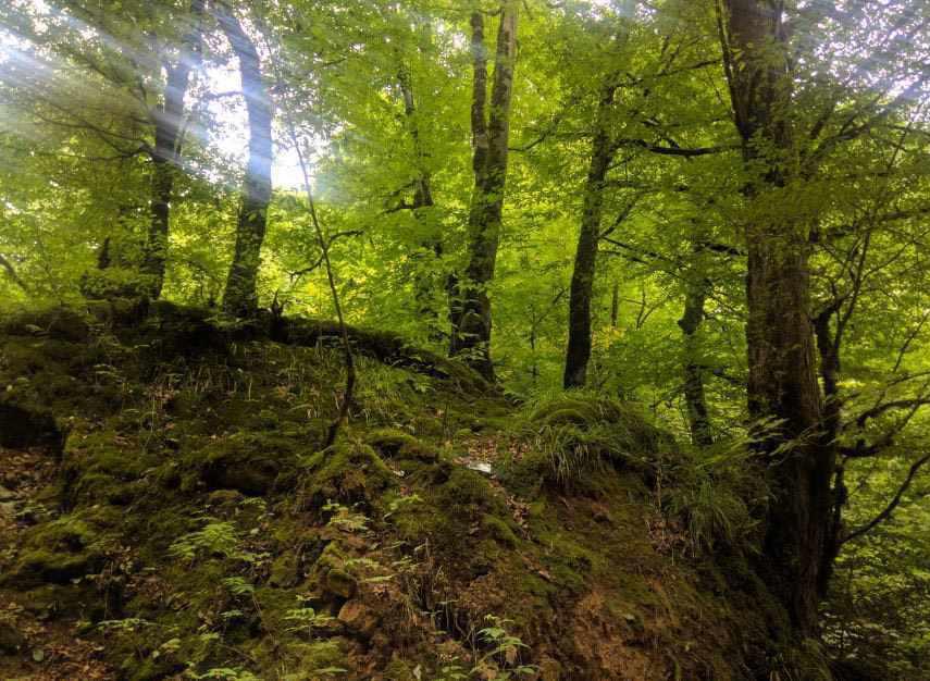 آبشار ویسادار