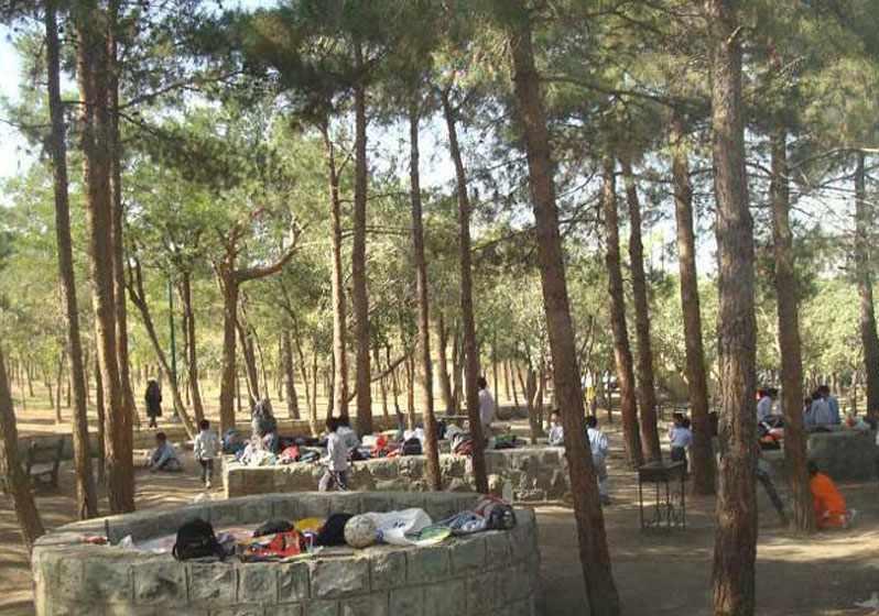 پارک جنگلی چیتگر، پارکی با امکانات متعدد