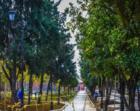 بوستان ولایت، بوستانی با امکانات متعدد