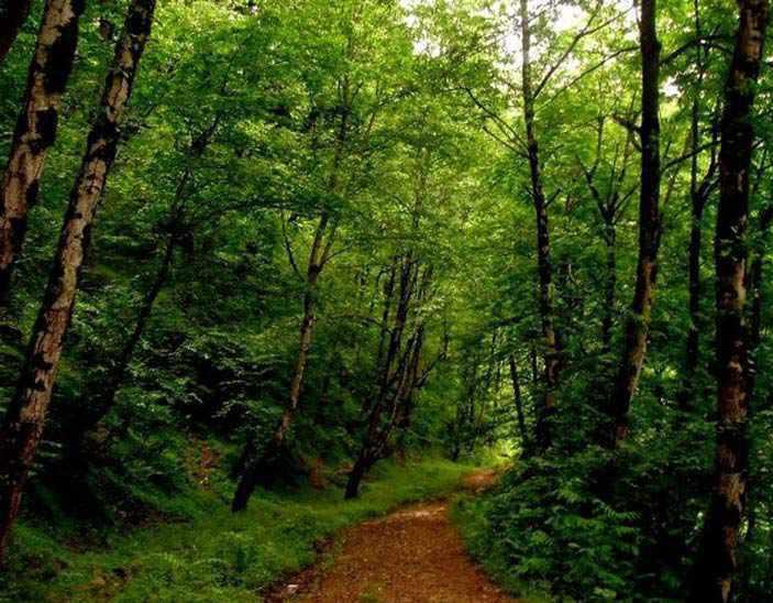 روستای صفرابسته آستانه اشرفیه گیلان