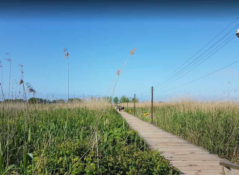 پارک جنگلی کیاشهر