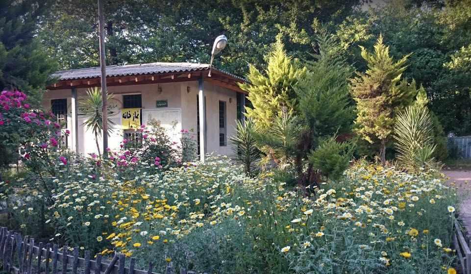 پارک جنگلی کیاشهر