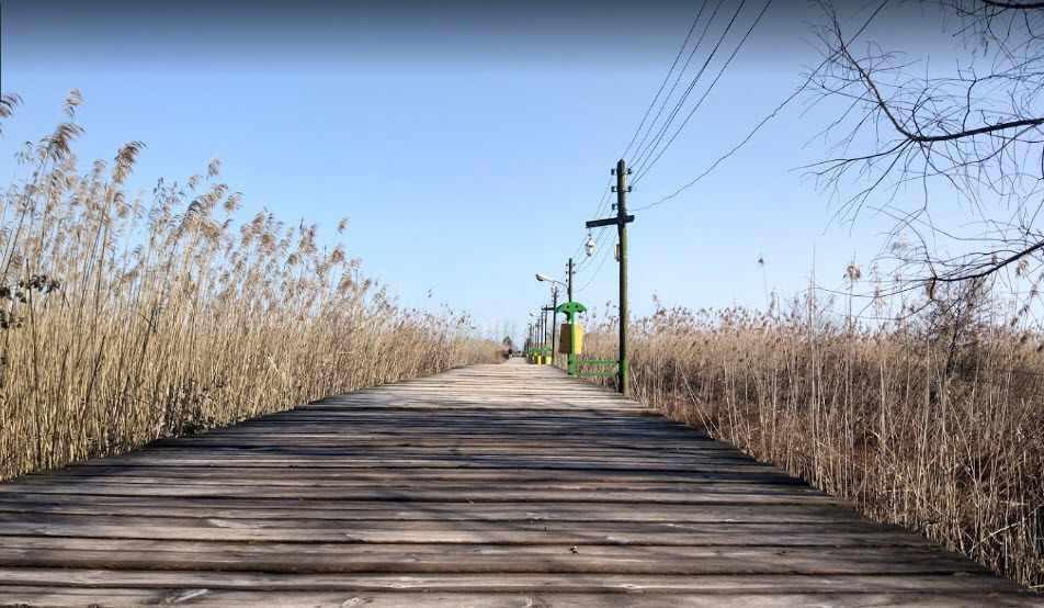 پارک جنگلی کیاشهر