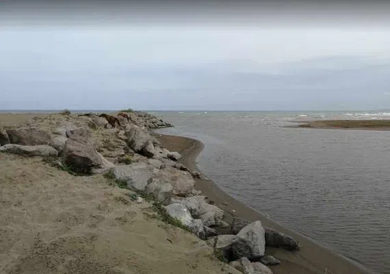 پارک جنگلی کیاشهر