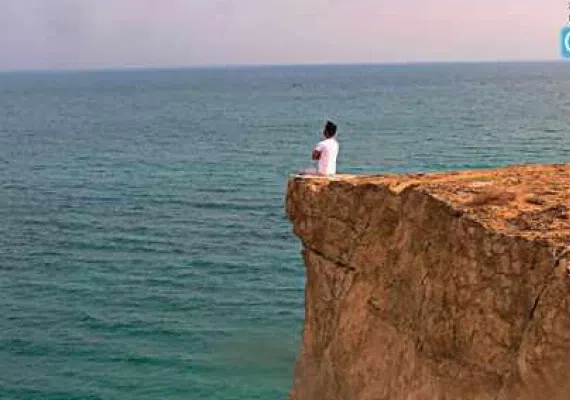 حیات وحش دریایی قشم