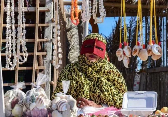 جزیره هنگام، سکونت گاه دلفین ها و ماهی های رنگی آکواریومی