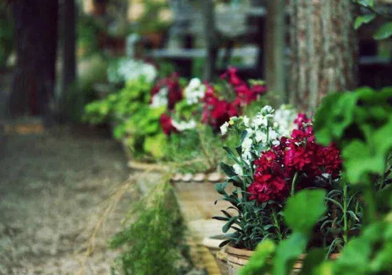 باغ هنر شیراز