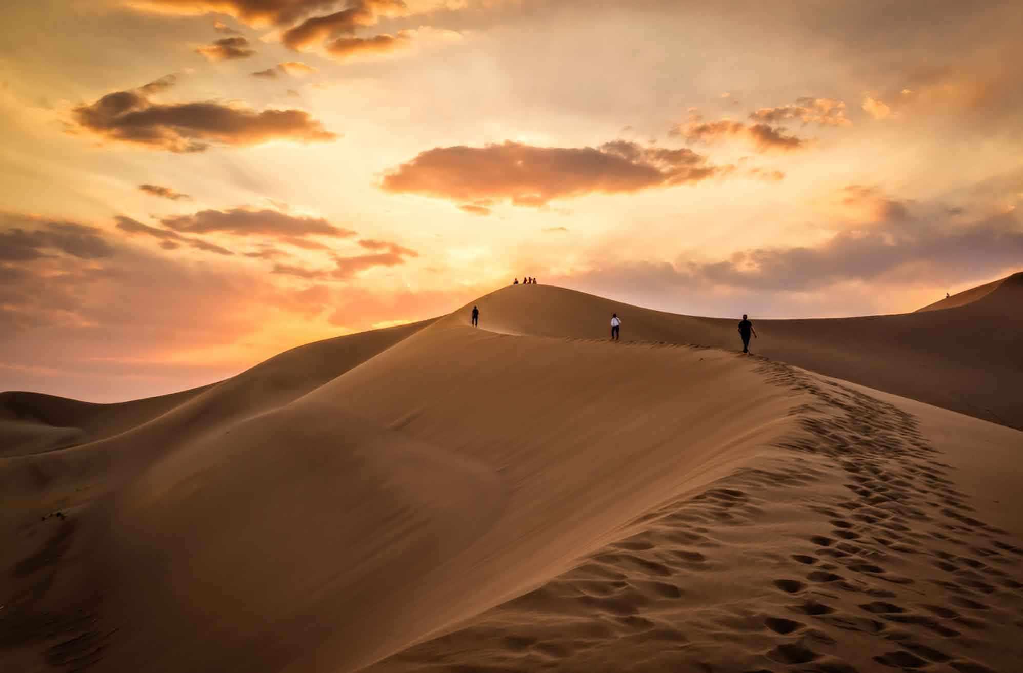 کویر کاراکال، زیستگاه گربه سان زیبای ایرانی