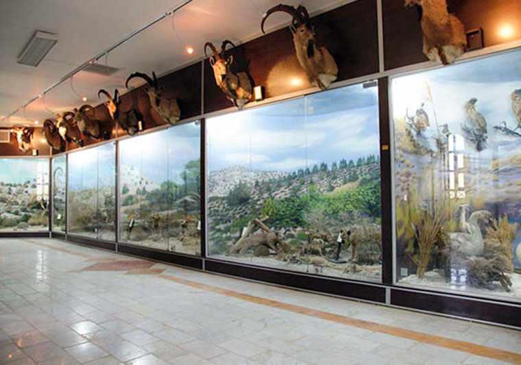 ژئو پارک قشم